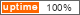 website monitoring services